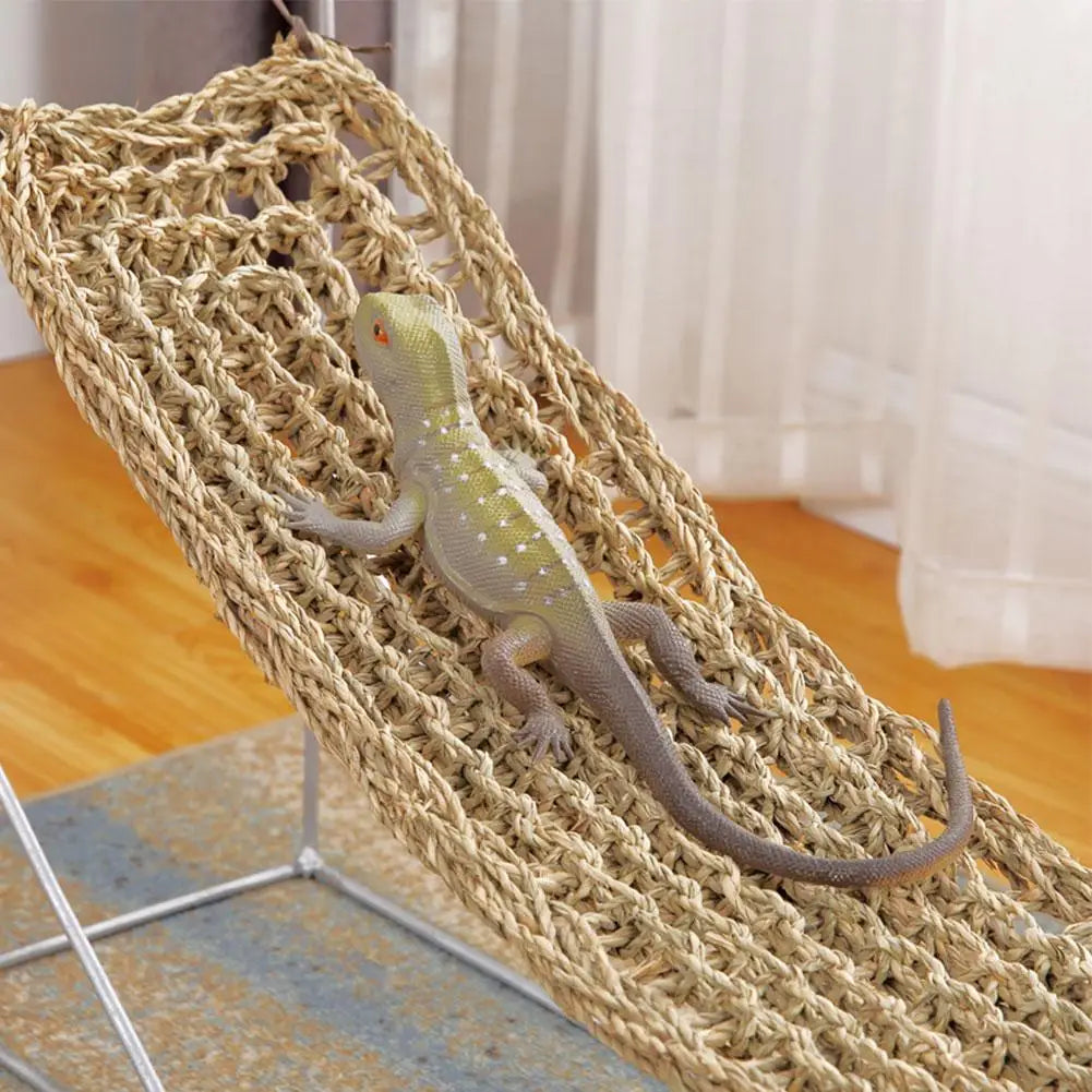 Reptile Hammock Swing