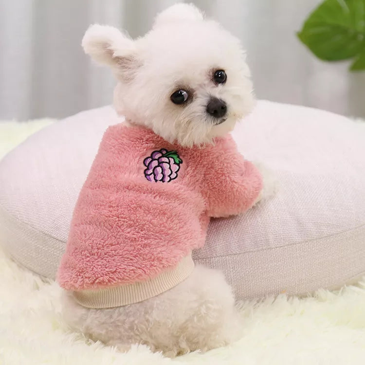 Stylish PetThreadz