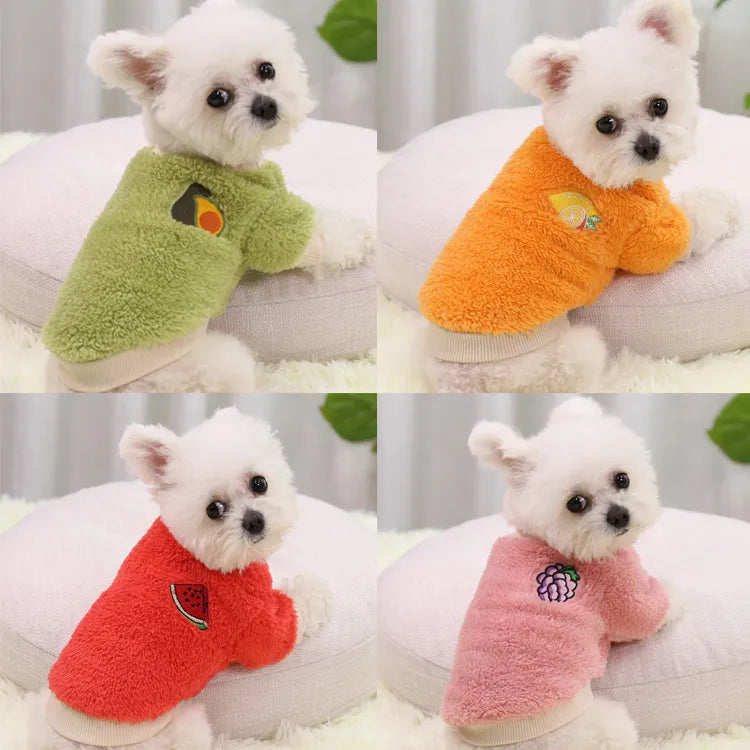 Stylish PetThreadz