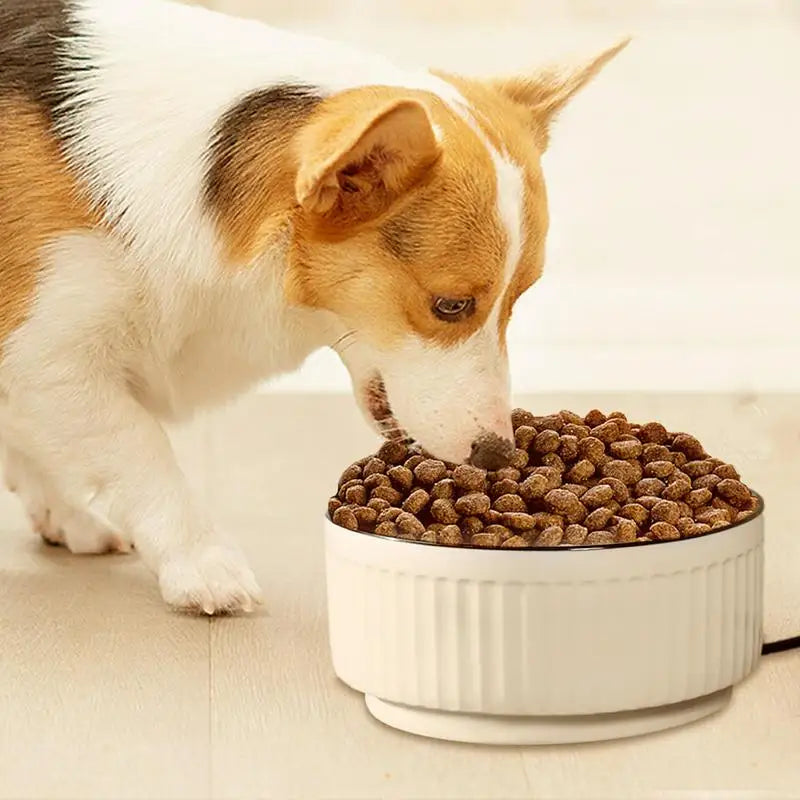 Heated Pet Bowl