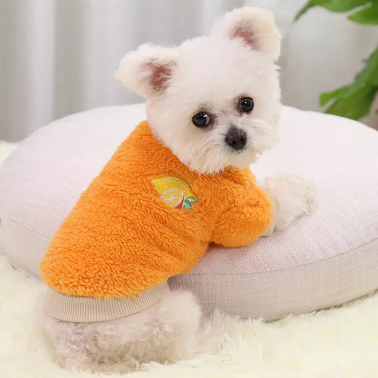 Stylish PetThreadz